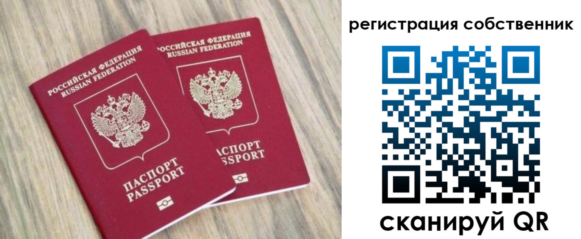 прописка ребенка в Светлом